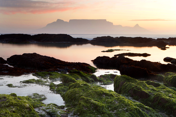 landscsape-002